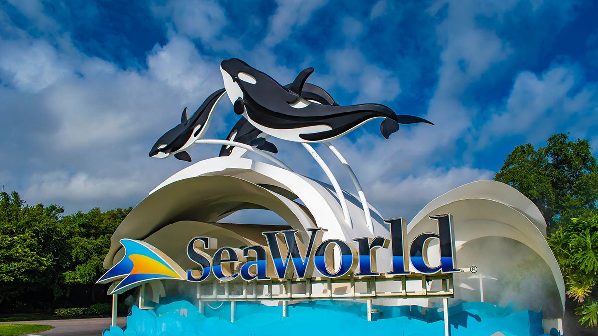 cozzyid-hotel-murah-hotel-terdekat-penginapan-murah-penginapan-terdekat-booking-hotel-sea-world-ancol-jakarta-petualangan-bawah-laut-yang-menakjubkan-sumber-gambar-kcik